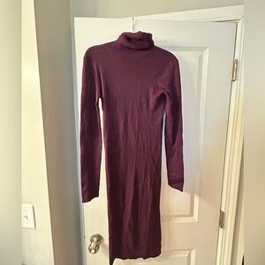 Express Plum Long Sleeve Turtleneck Dress